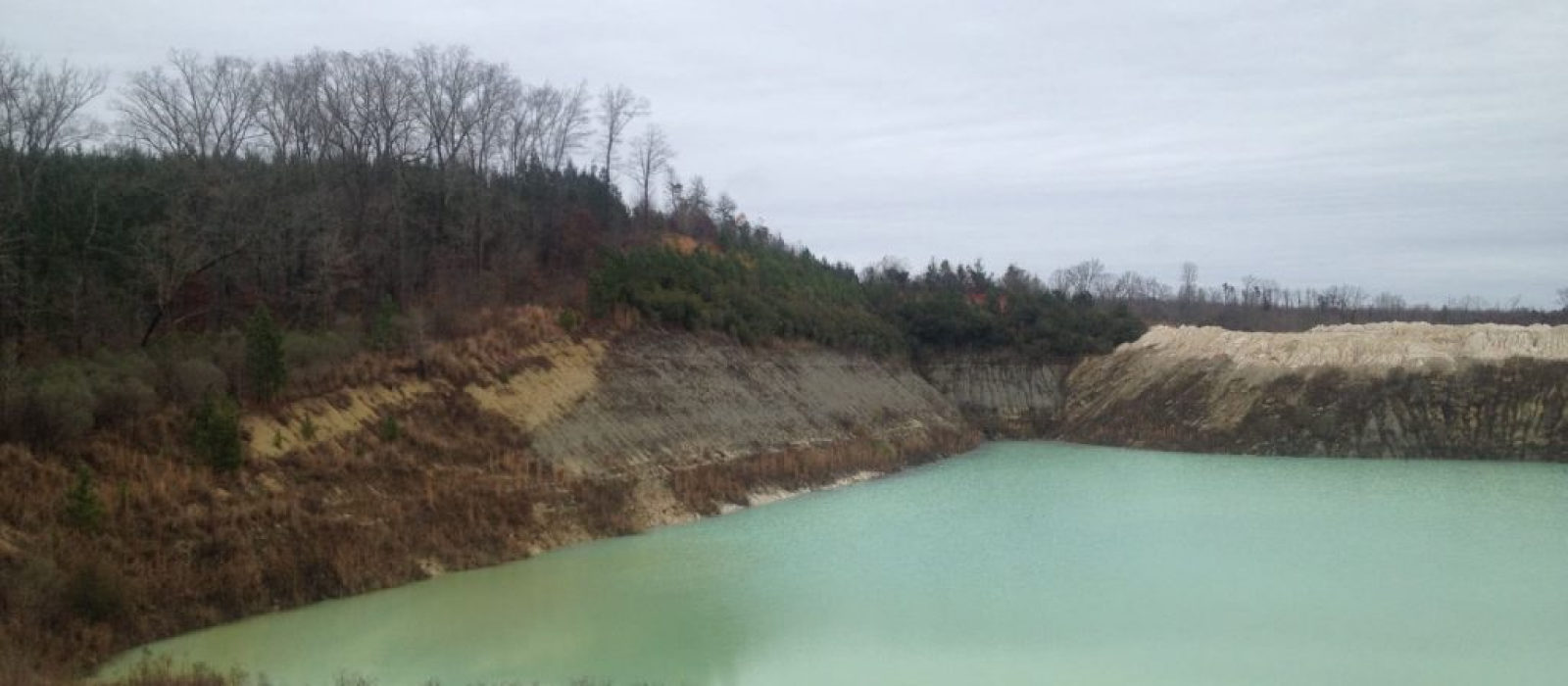 Sims Mine Reclamation Project Site