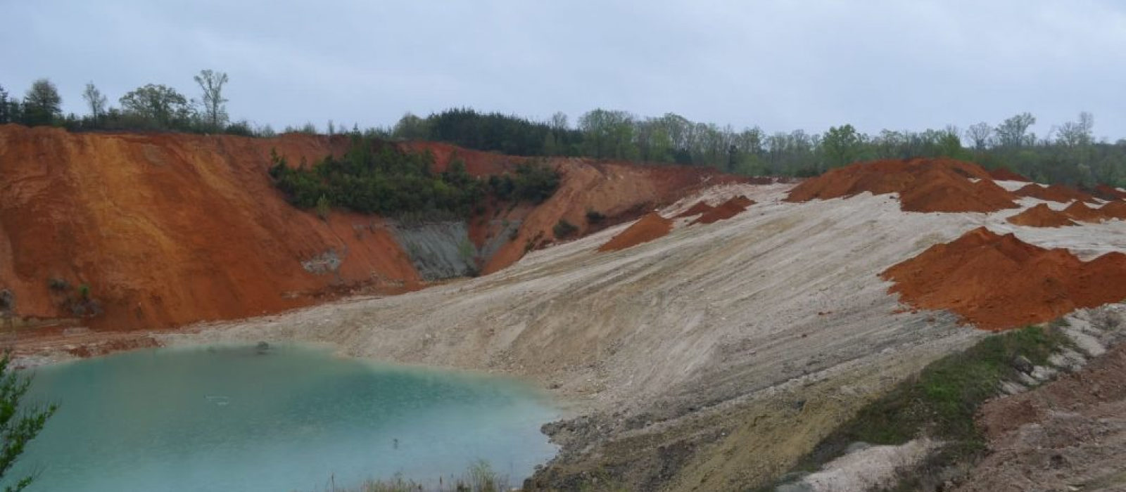 Sims Mine Reclamation Pond Site